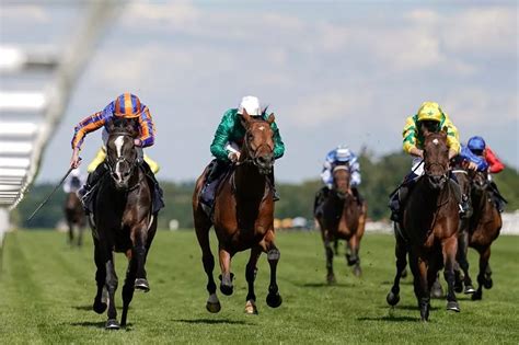 Prince Of Wales’s Stakes Odds Comparison 2024 .